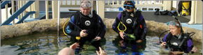 Scuba World - Accommodation Noosa 2