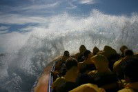Jetboating Sydney - Accommodation Noosa 1