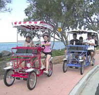 Beach Safaris - Accommodation Noosa