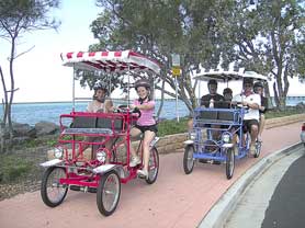 Beach Safaris - Accommodation Noosa 0