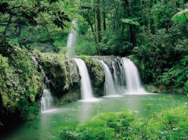 Hidden Valley Tours - Accommodation Noosa 2