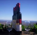 Mount Tamborine Winery  Homestead - Accommodation Noosa