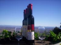 Mount Tamborine Winery & Homestead - Accommodation Noosa 0