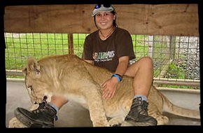 Cairns Wildlife Safari Reserve - Accommodation Noosa 1