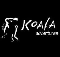 Koala Adventures - Accommodation Noosa