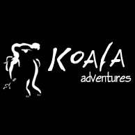 Koala Adventures - Accommodation Noosa 0
