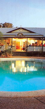 Koala Adventures - Accommodation Noosa 2