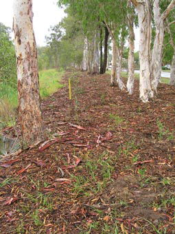 Kumbartcho Sanctuary - Accommodation Noosa 1