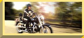 Easy Rider - Accommodation Noosa 1
