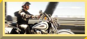 Easy Rider - Accommodation Noosa 2