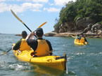 Sydney Harbour Kayaks - Accommodation Noosa 1