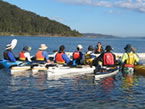 Sydney Harbour Kayaks - Accommodation Noosa 2