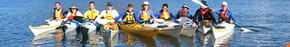 Sydney Harbour Kayaks - Accommodation Noosa 3
