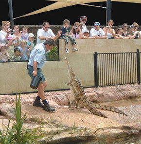 Symbio Wildlife Gardens - Accommodation Noosa 3