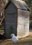 Wagga Wagga Zoo - Accommodation Noosa 2