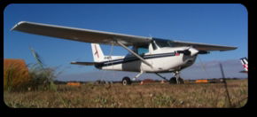 The Aeroplane Company - Accommodation Noosa 2