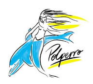 Polperro Dolphin Swims - Accommodation Noosa 0