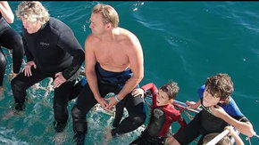 Dolphcom - Dolphin & Whale Swimming Adventures - Accommodation Noosa 2