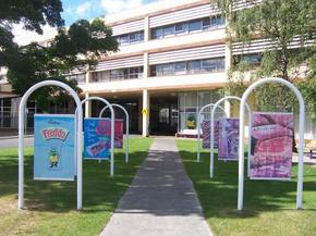 Cadbury Chocolate Factory Tour - Accommodation Noosa 2