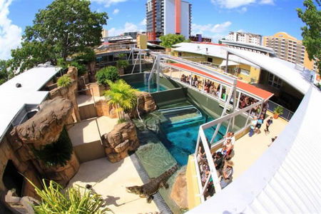 Crocosaurus Cove - Accommodation Noosa 1