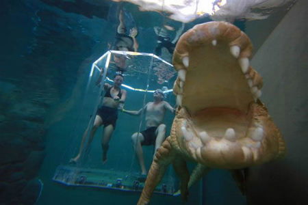 Crocosaurus Cove - Accommodation Noosa 3