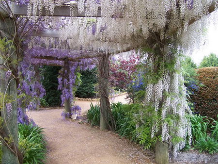 Abingdon Miniature Village - Accommodation Noosa 0