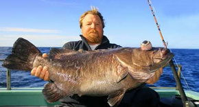 Bravo Fishing Charters - Accommodation Noosa 0