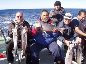 Bravo Fishing Charters - Accommodation Noosa 1