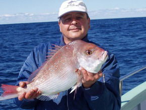 Bravo Fishing Charters - Accommodation Noosa 3