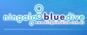 Ningaloo Blue Dive - Accommodation Noosa 0