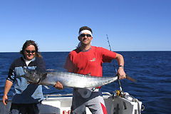 Ningaloo Blue Dive - Accommodation Noosa 3