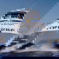 Sunshine Coast Fishing Charters - Accommodation Noosa 0