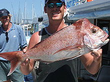 Sunshine Coast Fishing Charters - Accommodation Noosa 2
