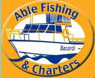Able Fishing Charters - Accommodation Noosa 0