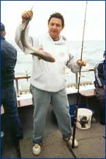 Able Fishing Charters - Accommodation Noosa 2