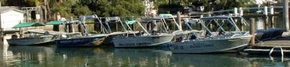 Brooklyn Central Boat Hire & General Store - Accommodation Noosa 1