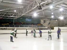 The Ice Arena - Accommodation Noosa 2