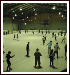Bendigo Ice Stadium - Accommodation Noosa 1