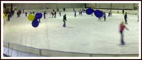 Bendigo Ice Stadium - Accommodation Noosa 2