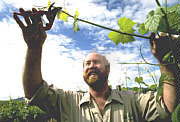 Barossa Experience Tours - Accommodation Noosa 0