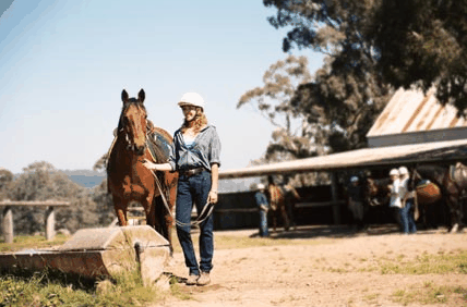 Watsons Trail Rides - Accommodation Noosa 0