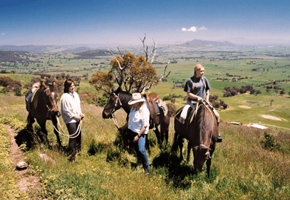 Watsons Trail Rides - Accommodation Noosa 2