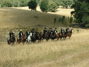 McCormacks Mountain Valley Trail Rides - Accommodation Noosa 0