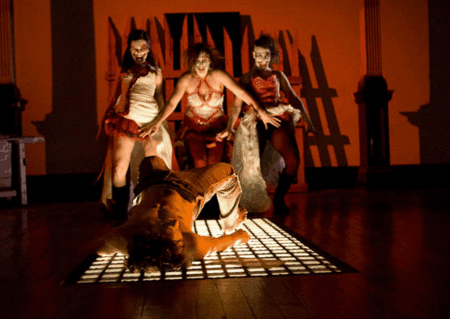 Zen Zen Zo Physical Theatre - Accommodation Noosa 1
