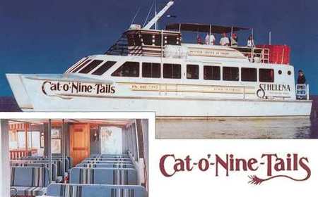 Cat O' NineTails - Accommodation Noosa 1