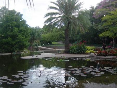 Brisbane City Botanic Gardens - Accommodation Noosa 0