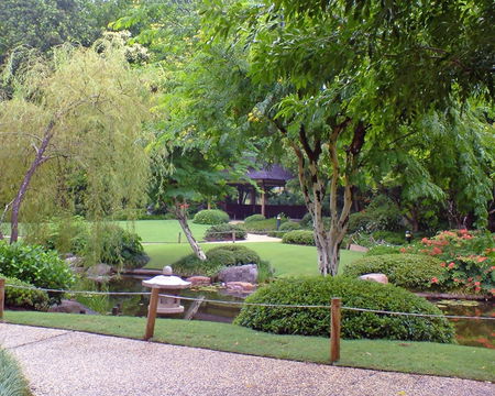 Brisbane City Botanic Gardens - Accommodation Noosa 1