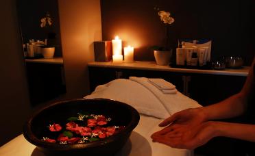 Beautiful Beings - Accommodation Noosa 3