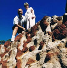 Mystery Craters - Accommodation Noosa 2