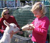 The Sun Herald Sydney Family Show - Accommodation Noosa 2
